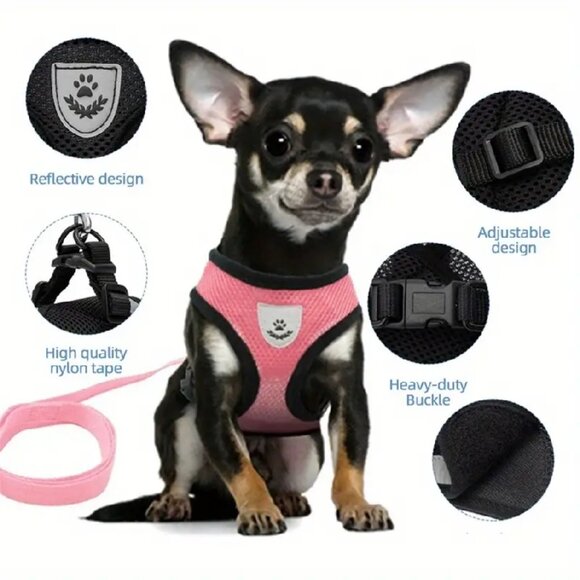 Breathable and Reflective Dog Harness with Adjustable Leash - Ideal for Puppies - Picture 6 of 6